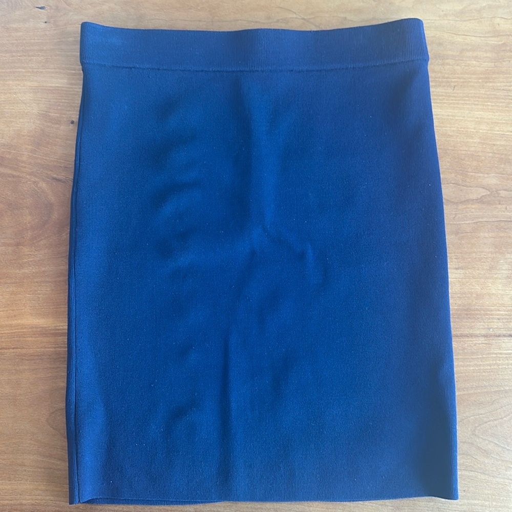 Alexander Wang Fitted Mini Skirt